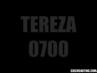 捷克语 铸件 - tereza (0700)