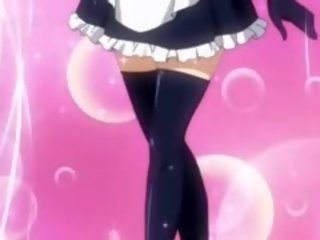 Krūtinga paauglių 3d anime ponia jojimas sunkus į viršų manhood
