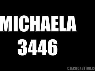 Odlew michaela (3446)